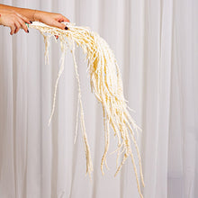 Cargar imagen en el visor de la galería, Web Decoco Producto Preservadas Amaranthus Blanco