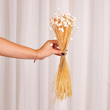 Cargar imagen en el visor de la galería, Botao Preservado