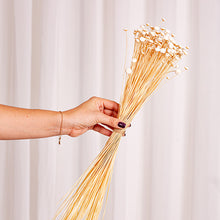 Cargar imagen en el visor de la galería, Botao Preservado