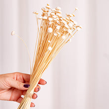 Cargar imagen en el visor de la galería, Botao Preservado