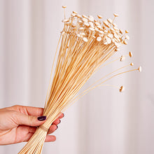 Cargar imagen en el visor de la galería, Botao Preservado