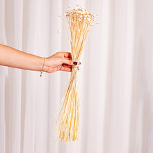 Cargar imagen en el visor de la galería, Botao Preservado