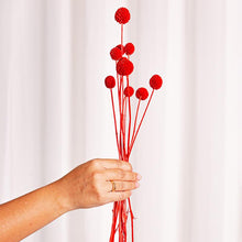 Cargar imagen en el visor de la galería, Craspedia Varios Colores