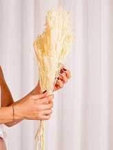 Cargar imagen en el visor de la galería, Web Decoco Producto Preservadas Gypsophila Blanca 2