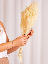 Cargar imagen en el visor de la galería, Web Decoco Producto Preservadas Gypsophila Blanca 3