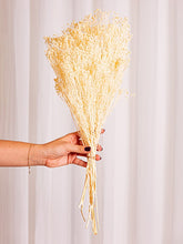 Cargar imagen en el visor de la galería, Web Decoco Producto Preservadas Gypsophila Blanca 5