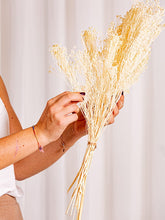 Cargar imagen en el visor de la galería, Web Decoco Producto Preservadas Gypsophila Blanca