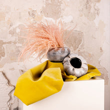 Cargar imagen en el visor de la galería, Helecho Preservado