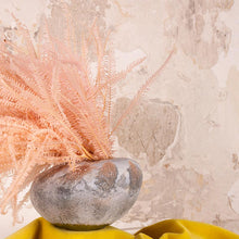 Cargar imagen en el visor de la galería, Helecho Preservado