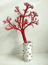 Cargar imagen en el visor de la galería, Web Decoco Producto Preservadas Planta Rústica 2