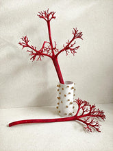 Cargar imagen en el visor de la galería, Web Decoco Producto Preservadas Planta Rústica 3