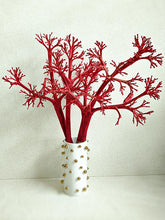 Cargar imagen en el visor de la galería, Web Decoco Producto Preservadas Planta Rústica 6