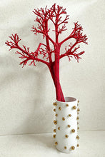 Cargar imagen en el visor de la galería, Web Decoco Producto Preservadas Planta Rústica