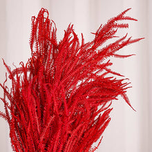 Cargar imagen en el visor de la galería, Helecho Preservado