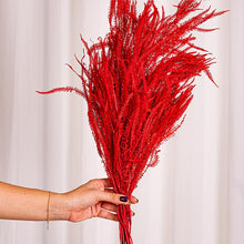 Cargar imagen en el visor de la galería, Helecho Preservado