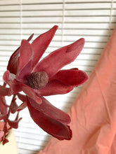 Cargar imagen en el visor de la galería, Web Decoco Producto Protea Baby Burdeos