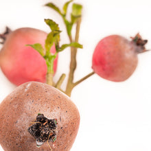 Cargar imagen en el visor de la galería, Rama granado artificial