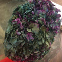 Cargar imagen en el visor de la galería, Hortensias secas varios colores