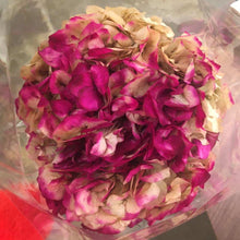 Cargar imagen en el visor de la galería, Hortensias Preservadas Varios Colores