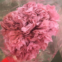 Cargar imagen en el visor de la galería, Hortensias Preservadas Varios Colores