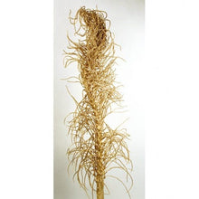 Cargar imagen en el visor de la galería, Cacho ingaso dorado