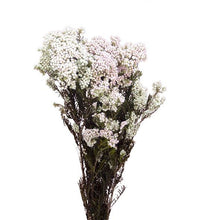 Cargar imagen en el visor de la galería, Flor de arroz Varios colores