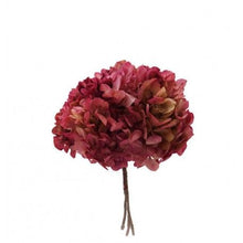 Cargar imagen en el visor de la galería, Hortensias secas varios colores