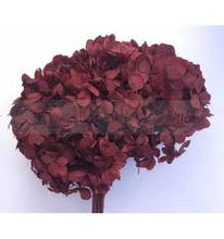 Cargar imagen en el visor de la galería, Hortensias secas varios colores