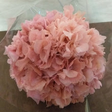Cargar imagen en el visor de la galería, Hortensias Preservadas Varios Colores