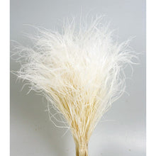 Cargar imagen en el visor de la galería, Stypa Pennata Varios Colores
