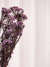 Cargar imagen en el visor de la galería, Flor de arroz Varios colores
