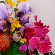 Cargar imagen en el visor de la galería, Iris Aritificial
