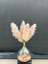 Cargar imagen en el visor de la galería, Pampas Soft Cloud
