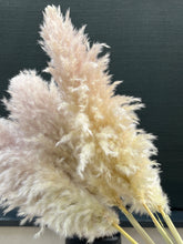 Cargar imagen en el visor de la galería, Pampas Soft Cloud
