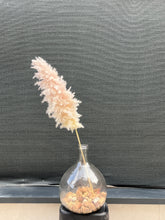 Cargar imagen en el visor de la galería, Pampas Soft Cloud
