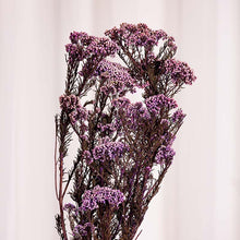 Cargar imagen en el visor de la galería, Flor de arroz Varios colores
