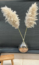 Cargar imagen en el visor de la galería, Pampas Nube
