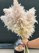 Cargar imagen en el visor de la galería, Pampas Soft Cloud
