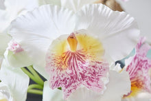 Cargar imagen en el visor de la galería, Orquídeas colombianas Hiperrealistas Blanca
