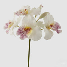 Cargar imagen en el visor de la galería, Orquídeas colombianas Hiperrealistas Blanca
