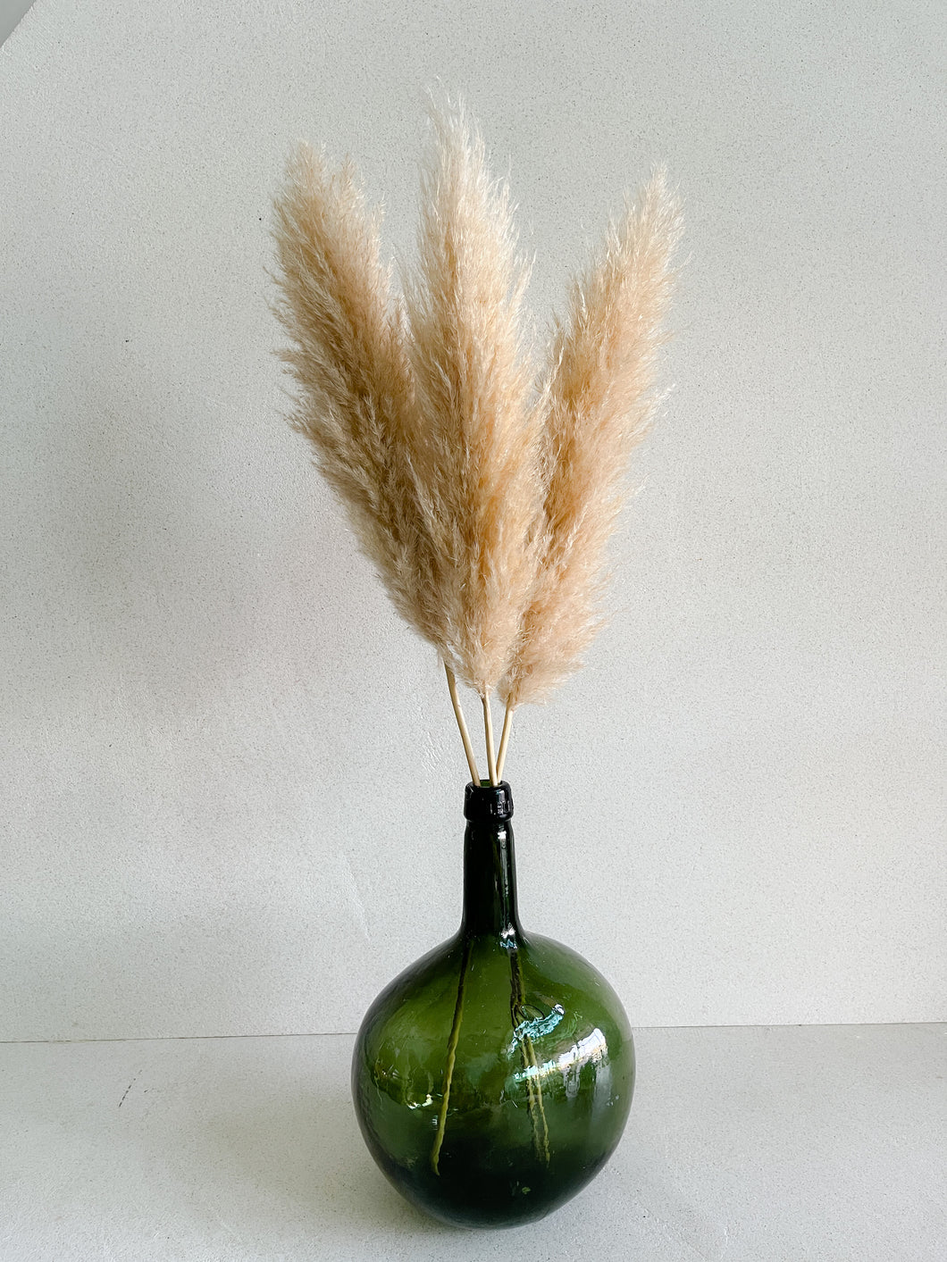 Pampas Holandesas (Beige)