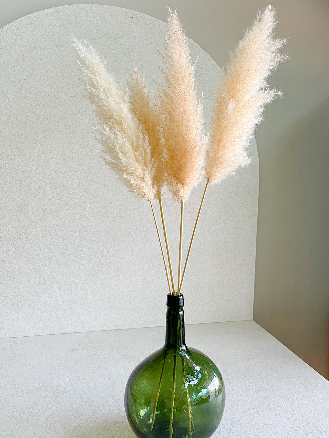 Pampas Nube