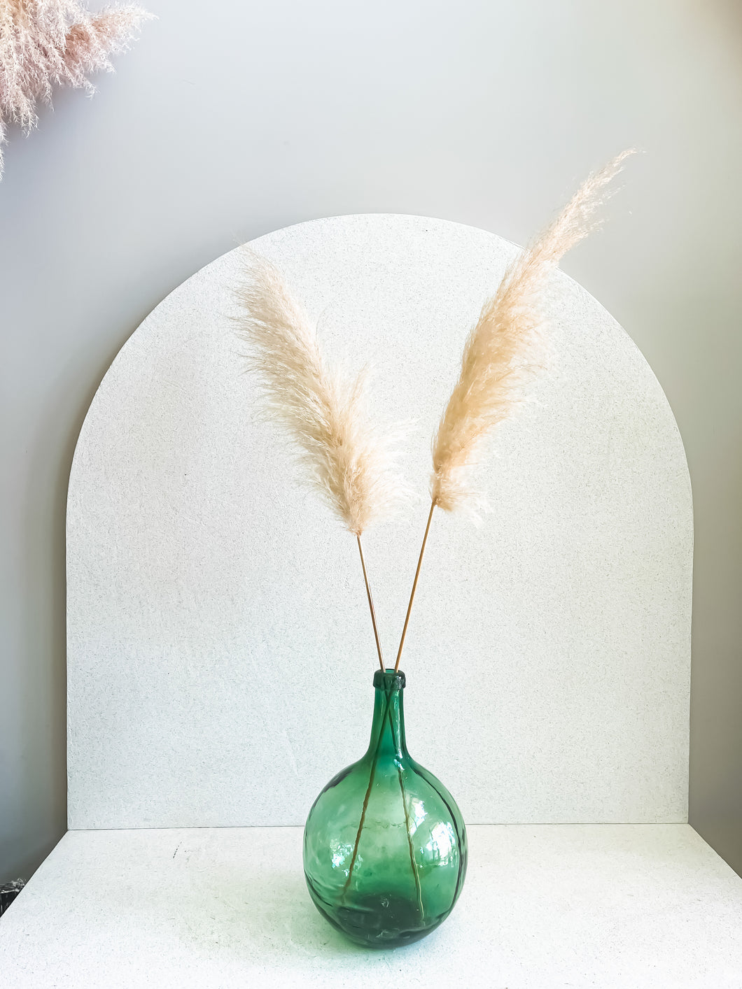 Pampas Africanas