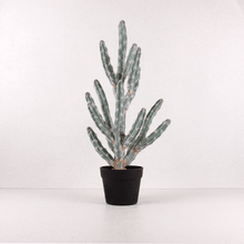 Cargar imagen en el visor de la galería, Cactus Aterciopelado artificial
