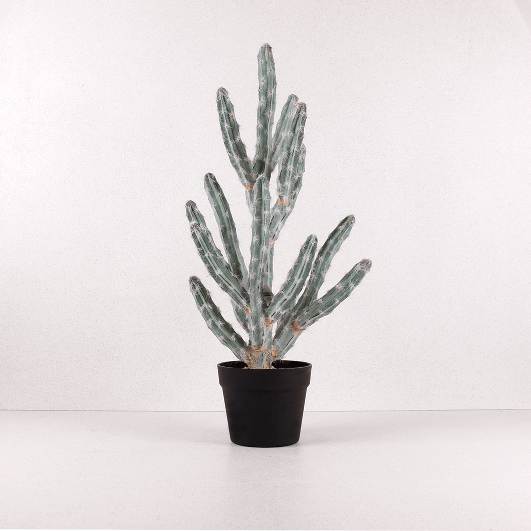 Cactus Aterciopelado artificial