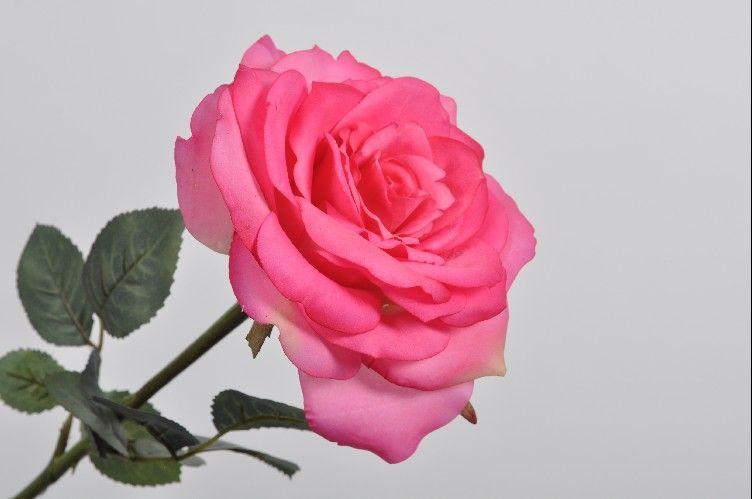 Rosa clásica artificial