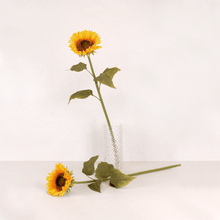 Cargar imagen en el visor de la galería, Girasol
