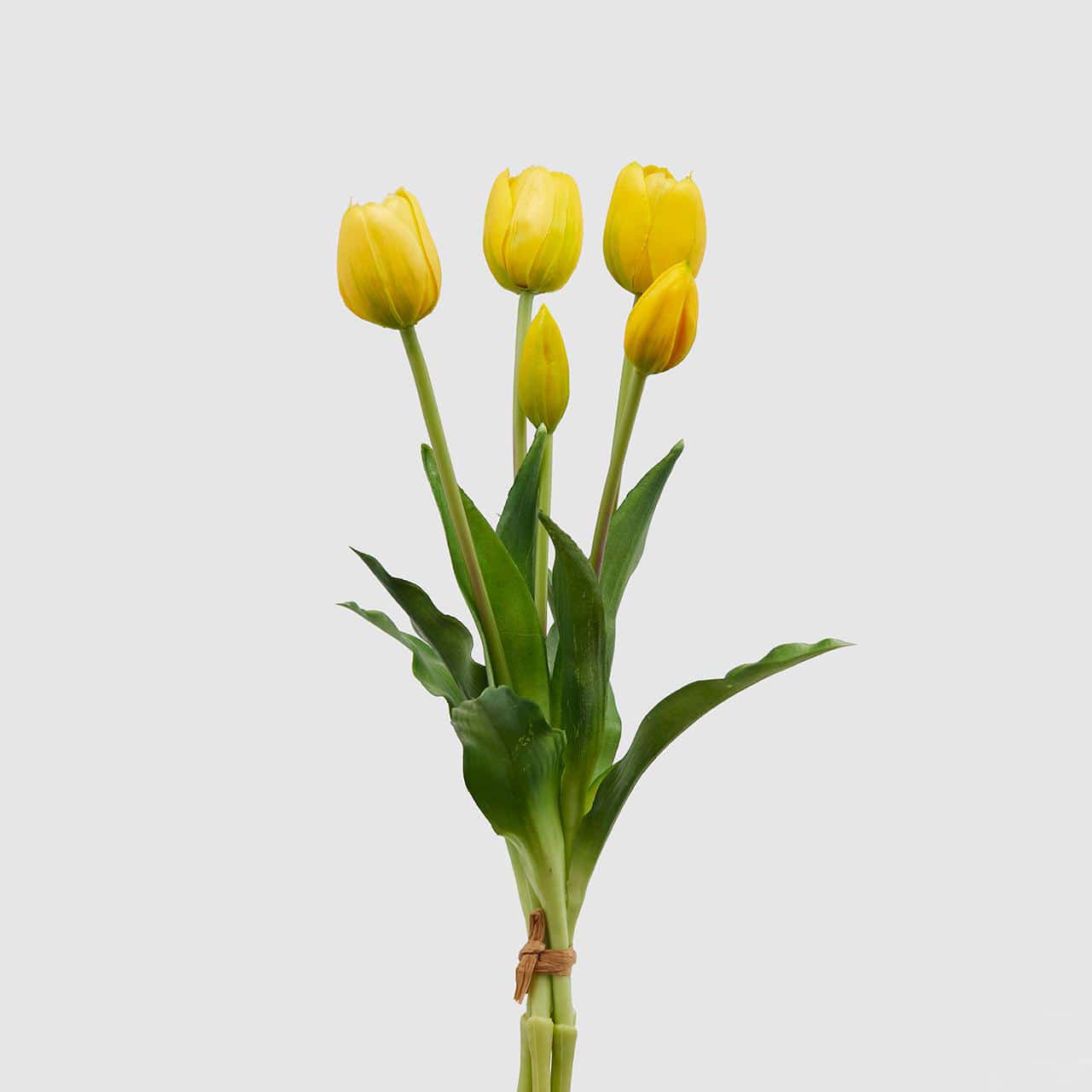 Ramo de tulipanes artificiales LONA, amarillo-verde, 45cm, Ø15cm