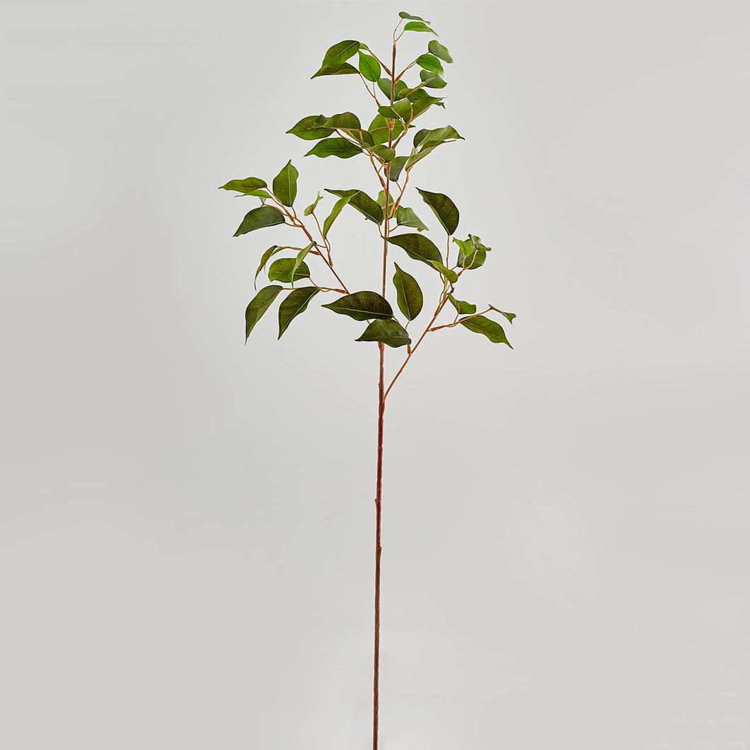 Rama Ficus artificial