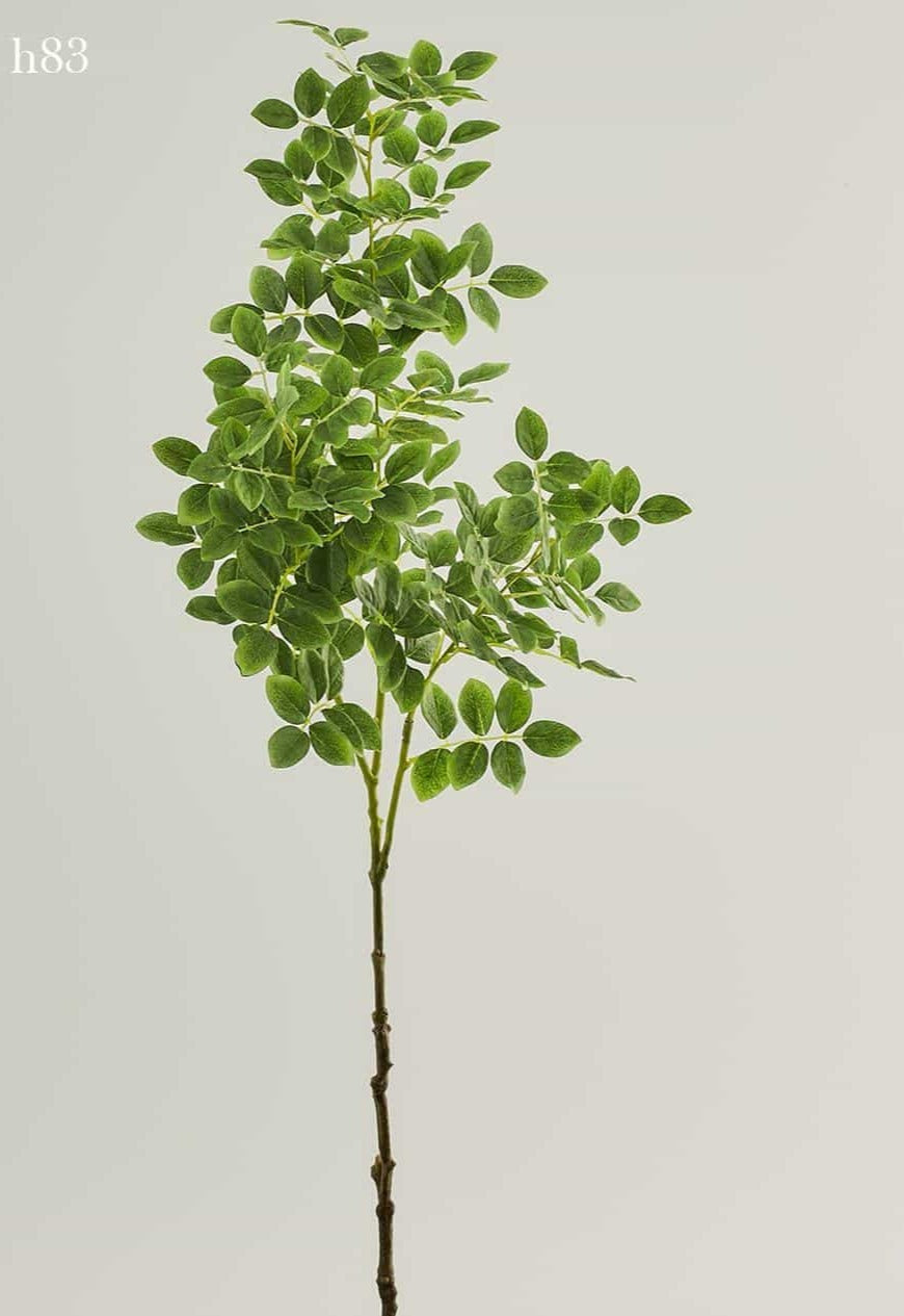 Rama Acacia Artificial